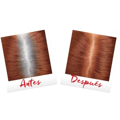 Venta de L'OREAL PARIS | MAGIC RETOUCH ROJO | RETOCADOR DE RAICES EN SPRAY en Panamá. A sólo $8.35. Entrega gratis. Garantía Mercologo.